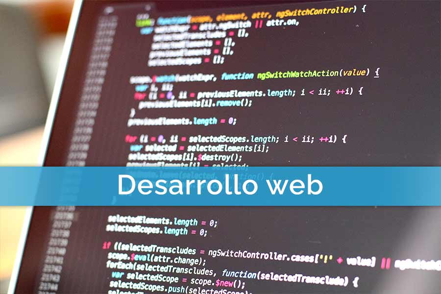 DESARROLLO WEB