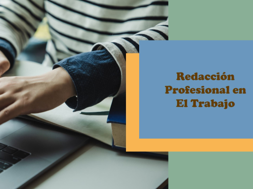 REDACCIÓN PROFESIONAL